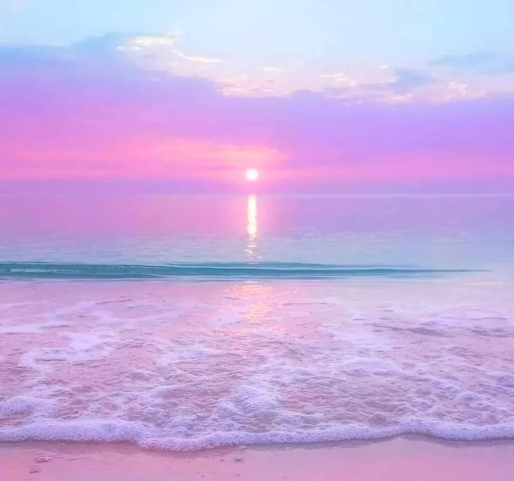 PlayaRosa