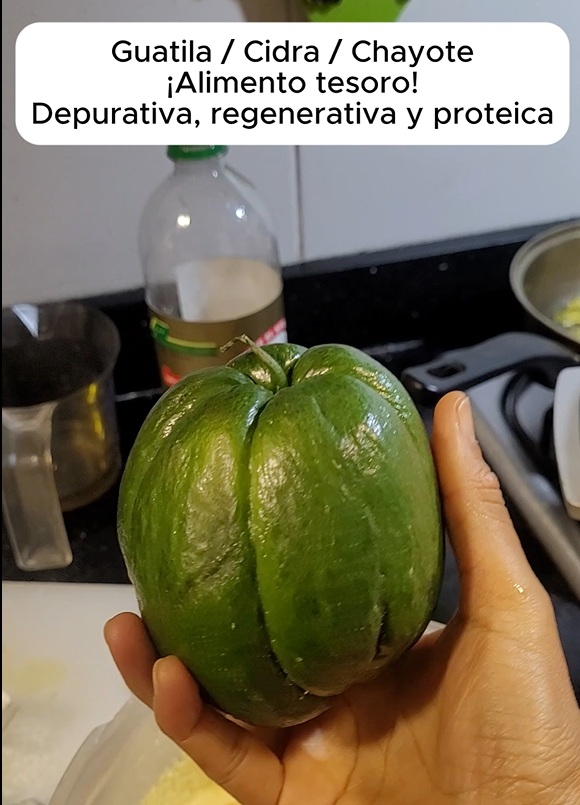 FotoGuatila